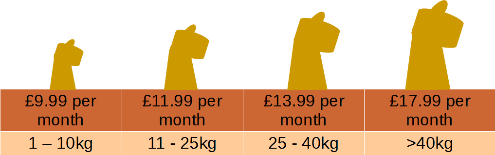 Dog health plan